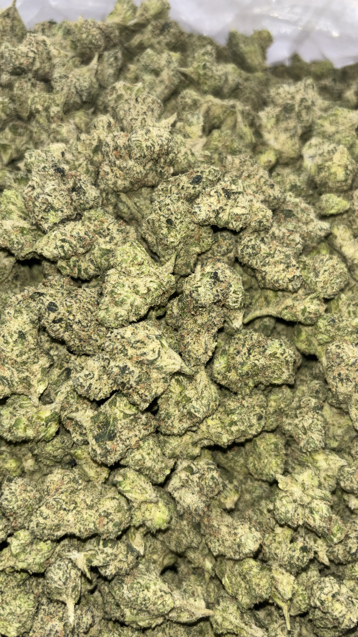 Lemon cherry gelato 🍭